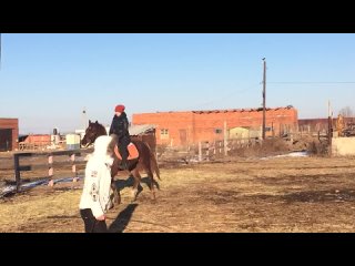 porn немного рыси с моей ужасной посадкой porn