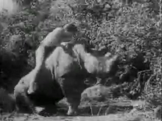 porn девушка тарзана тарзан и его подруга tarzan and his mate 1934 porn