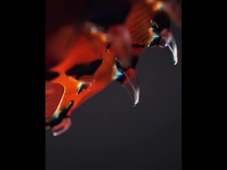 porn marco asensio nike mercurial superfly porn
