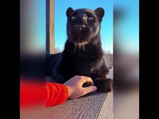 porn мое состояние в конце рабочего дня porn