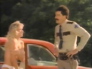 porn юмористическое cmnf видео водительницу раздевает пчела после чего машину вдруг останавливают porn