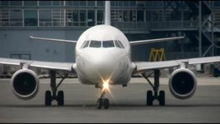 porn flight attendants porn