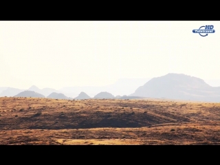 porn на грани отчаяния или как заблудиться в пустыне driven to despair the idiots guide to getting lost in the desert porn