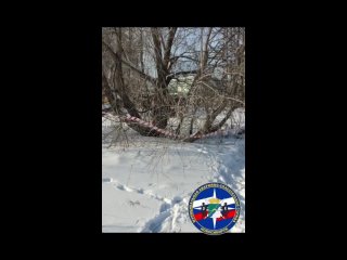 porn спасатели достали щенка из заброшенного погреба в новосибирске porn