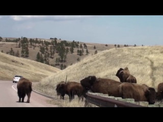 porn usa индейцы племени лакота резервация пайн ридж native americans lakota sioux pine ridge porn