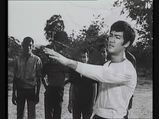 porn брюс ли проклятье дракона bruce lee the curse of the dragon 1993 porn