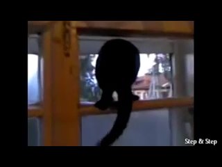 porn кот гаал пока не застукали егоочень красивый секс музыкальный магазин трах минет анал пизда разврат проститутка porn