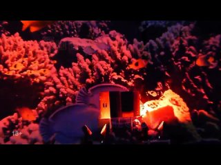 porn как надо отдыхать в барнауле 29 ноября summer night в аквапарке видео приглашение porn