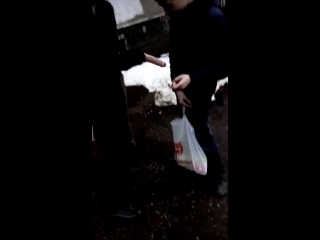 porn карлик девственник устал и захотел снять проститутку но она оказалась с подвохом porn