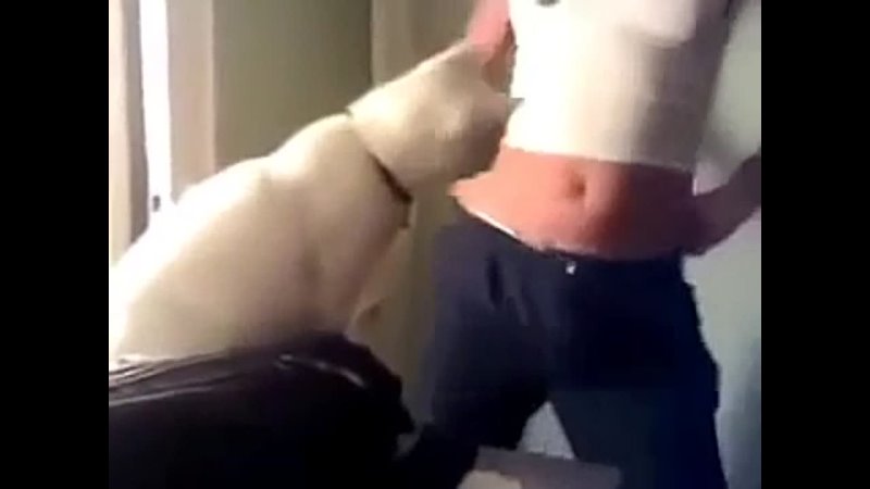 porn кот чуть не вставил хозяйке не порноне секс porn