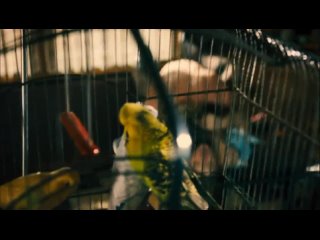porn ух какая сиськи и попка натали дормер в фильме гонка восхитительно сиськине порноне э porn