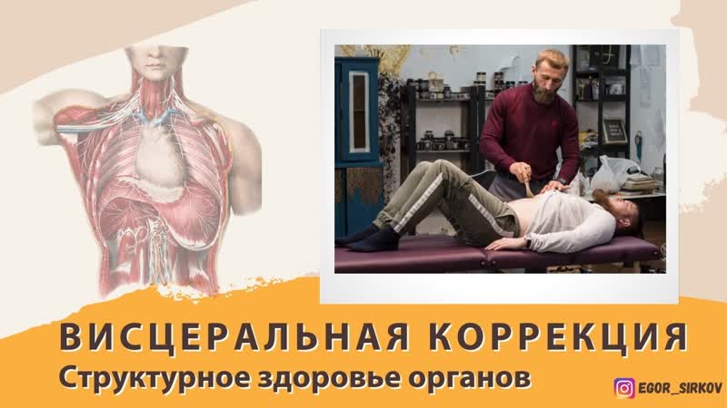 porn висцеральная коррекция структурное здоровье органов porn