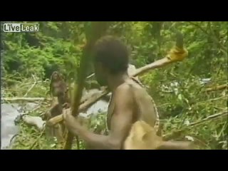 porn племя дикарей впервые встречает белого человека новая гвинея 1976 porn