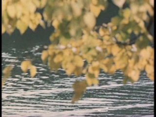 porn фильм место встречи изменить нельзя серия 3 porn