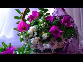 porn ирина под музыку песня про девушку ирину ах ирина ирочка прекрасней всех знаешь это сама на тебя смотрю и в душе porn