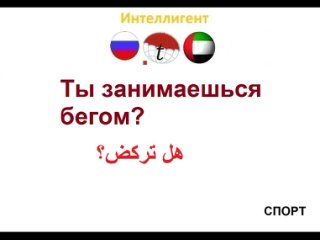 porn ты занимаешься бегом фразы на арабском языке изучение арабского языка переводы на арабский язык porn