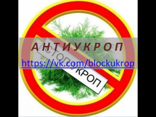 porn бабушка миротворец прекратила беспорядки в вифлееме porn
