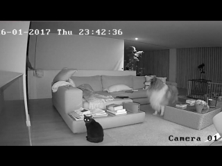 porn ночные паранормальные явления и молодые взлом камеры porn