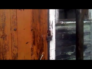 porn бляяяя бля сука ахахаха полный пиздец porn
