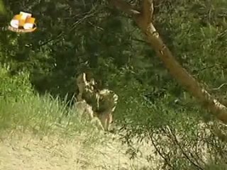 porn сюжет о пляже дюны на стс porn