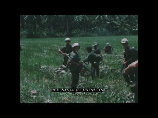porn vietnam war dailies jungle patrol recon mission vietnamese prisoner interrogation porn