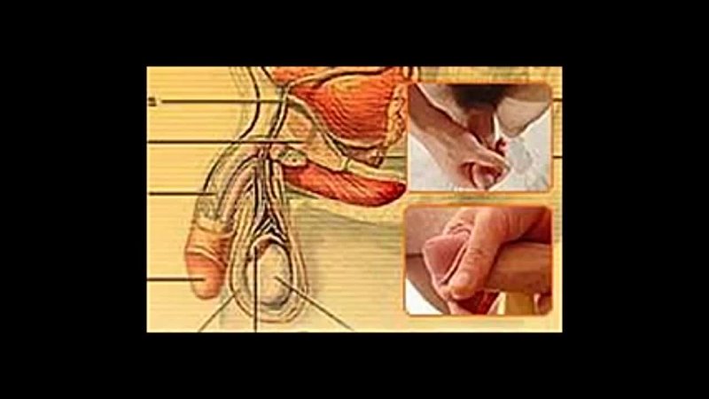 porn упражнения для увеличения мужского члена porn