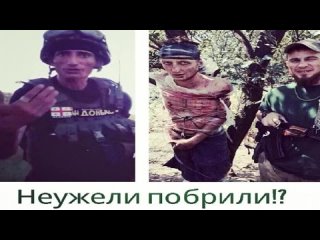 porn чеченцыпоймали добермана как и обещали porn
