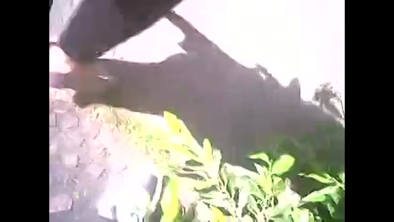 porn сосет на улице моская циганка porn