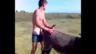 porn мой гора любимый хач ебет осла porn