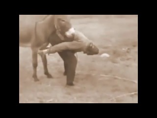 porn чурка тренеруеться ебаться с ослом porn