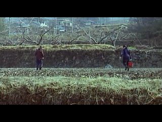 porn a lonely cow weeps at dawn одинокая корова плачет на рассвете 2003 porn