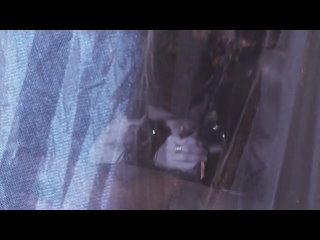 porn спартак часть 1 культура и психология секса 18 porn
