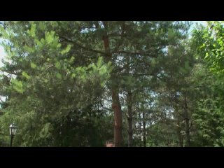 porn katarina hartlova 3 prowling for pud эротические массажи фильмы и актрисы 18 porn
