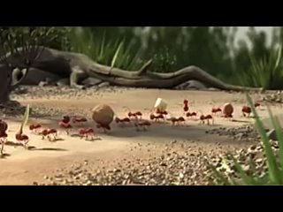 porn pixar animation studios муравьиная история мульт пиксар немецкая реклама сплотченность молодые porn