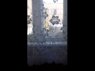 porn пьяная вика а точнее её подруга я лера 8 porn