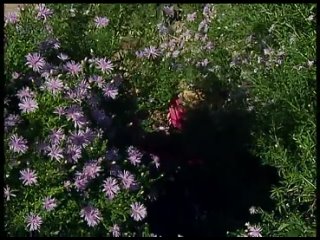 porn таня симферополь из шоу холостяк то что не попало в эфир porn
