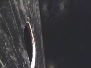 porn элитное мыло в виде классного члена 18 porn