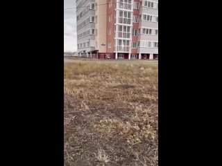 porn в омске девушка в одних трусах разгуливала по подъезду жилого дома и по улице porn