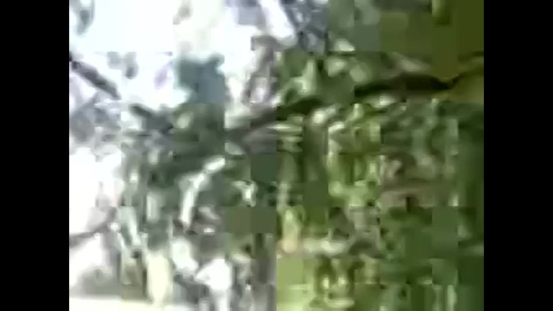 porn кабардино балкария деу ебут в поле порно снятое на камеру мобильного телефона porn