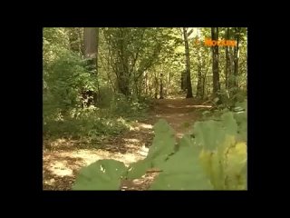 porn каазца выебли и не расплатились с обиделся дал пизды и ограбил своего любовникаddd porn