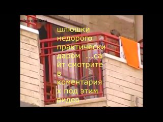 porn настоящий секс тот что начинается заканчивается неудержимой страстью девушка эротика сиськи стриптиз попа грудь porn
