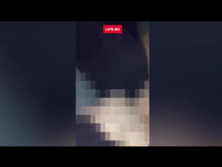 porn девушка занялась оральным сексом на глазах у пассажиров в самолете porn