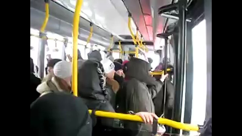 porn девченки сняли на видео эксгибициониста в автобусе porn