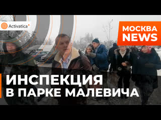 porn в парке малевича прошла общественная инспекция porn