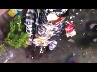 porn пьяная баба пиде не хозяйка очень пьяная молодые porn