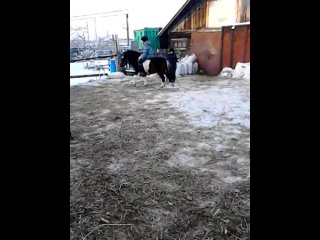 porn моя дочка прыгает на боне porn
