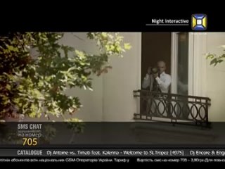 porn pitbul it started porn