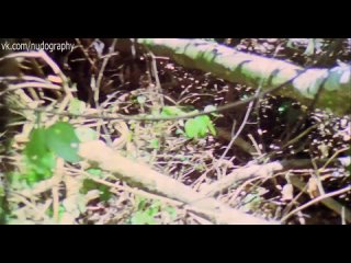 porn молодые и секс франчески кьярди francesca ciardi в фильме ад каннибалов cannibal holocaust 1980 руджеро porn