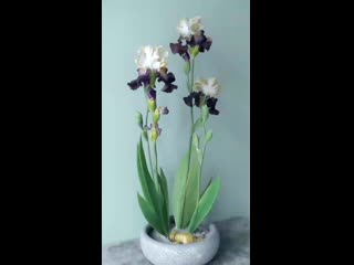 porn композиция с ирисами полимерная глина composition with irises polymer clay porn