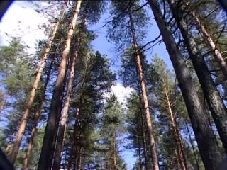 porn секс любовь и чёрная магия 2004 porn